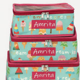 Set of 3 Clear Top Non Quilted Suitcase